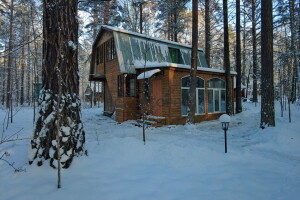 Дом в лесу ШИШКИ